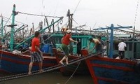 Việt Nam đưa Công ước Lao động hàng hải vào cuộc sống 
