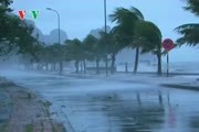 Quảng Ninh: khẩn trương khắc phục hậu quả bão số 14