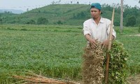KOICA hỗ trợ tỉnh Quảng Trị 10 triệu USD giảm nghèo