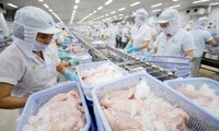 Một năm xuất khẩu thành công của thuỷ sản Việt Nam