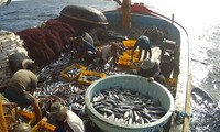 Lệnh cấm đánh bắt cá ở biển Đông của Trung Quốc là vô giá trị
