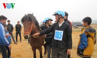 Giải đua ngựa tại Làng Văn hóa – Du lịch các dân tộc Việt Nam