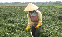 Huy động sức dân trong  xây dựng nông thôn mới: Cách làm hay ở huyện Như Thanh, tỉnh Thanh Hóa