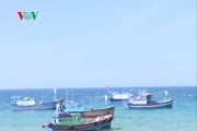 Phú Yên: phát triển dịch vụ hậu cần nghề cá từ sức dân