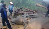 Hà Giang tích cực khắc phục hậu quả bão lụt