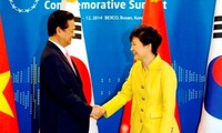 Hội đàm giữa Thủ tướng Nguyễn Tấn Dũng và Tổng thống Hàn Quốc Park Geun-hye