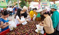  Đồng bằng sông Cửu Long xây dựng thương hiệu trái cây xuất khẩu
