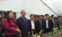 Chủ tịch Ủy ban Trung ương Mặt trận Tổ quốc Việt Nam  khảo sát mô hình kinh tế trang trại