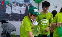 Sội động Ngày hội văn hóa Việt - Hàn lần thứ nhất
