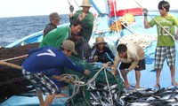 Hội Nghề cá Việt Nam phản đối lệnh cấm đánh bắt cá khu vực biển Đông
