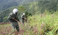 Hàn Quốc huấn luyện kỹ thuật rà phá bom mìn cho học viên Việt Nam