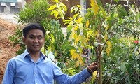 Người kỹ sư gốc Việt và ước mơ phủ sắc anh đào bên Hồ Xuân Hương 