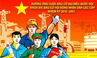 Mặt trận Tổ quốc Việt Nam giám sát chặt chẽ công tác bầu cử