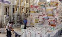 Gạo Việt Nam tìm đường vào thị trường Pháp 