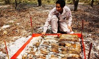 20 triệu USD dành cho rà phá bom mìn tại tỉnh Quảng Trị