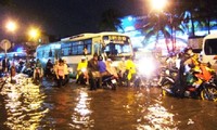 Ngân hàng Thế giới tại Việt Nam đặc biệt quan tâm đến quản lý nước và chống ngập của TPHCM