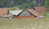 Tình người trong mưa lũ ở Quảng Bình