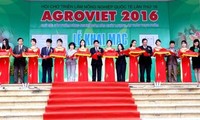 Tăng cường quảng bá nông sản an toàn Việt Nam ra thế giới