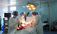 Ký kết hợp tác chuyên môn, đưa các bác sỹ Cuba sang làm việc tại Việt Nam 