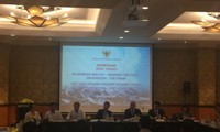 Việt Nam-Indonesia tăng cường hợp tác kinh tế, an ninh năng lượng 