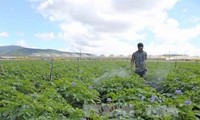 Doanh nghiệp Hàn Quốc khảo sát đầu tư sản xuất, chế biến nông sản tại Hà Nam 