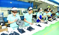 Xuất khẩu da giày Việt Nam năm 2018 sẽ có sức bật tốt
