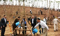 Tết trồng cây đời đời nhớ ơn Chủ tịch Hồ Chí Minh