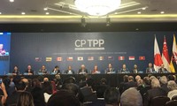 CPTPP mang lại lợi ích kinh tế trực tiếp và thúc đẩy cải cách tại Việt Nam