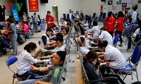 Gần 1.000 đơn vị máu thu được tại ngày đầu chính hội của Lễ hội Xuân Hồng