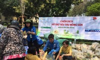 Tuổi trẻ Việt Nam: chung sức xây dựng quê hương