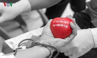 Hiến máu tình nguyện: chia sẻ yêu thương