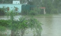 Các địa phương khẩn trương khắc phục hậu quả bão Sơn Tinh