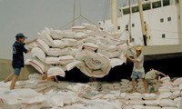 Ai Cập sẽ nhập khẩu 1 triệu tấn gạo của Việt Nam