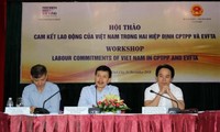 Việt Nam thực hiện cam kết lao động trong CPTPP và EVFTA