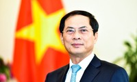Việt Nam tích cực thúc đẩy hợp tác Nam – Nam