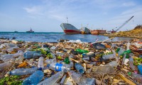 Nếu không hành động: Các đại dương sẽ chứa nhiều rác thải hơn các loại cá