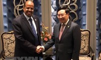 Phó Thủ tướng, Bộ trưởng Ngoại giao Phạm Bình Minh gặp Bộ trưởng Ngoại giao Djibouti Mahmoud Ali Yossouf