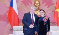 Chủ tịch Quốc hội Nguyễn Thị Kim Ngân tiếp Phó Chủ tịch Hạ viện Cộng hoà Czech