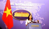 Việt Nam đề nghị Hàn Quốc điều tra, xử lý nghiêm vụ việc một phụ nữ Việt Nam bị chồng Hàn Quốc bạo hành