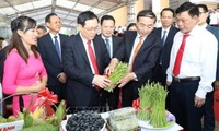 Phó Thủ tướng Vương Đình Huệ: Xây dựng nông thôn mới gắn với tái cơ cấu nông nghiệp, phát triển, kết nối với đô thị