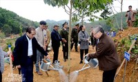 Thường trực Ban bí thư Trần Quốc Vượng dự Lễ phát động Tết trồng cây tại Tuyên Quang