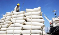 Việt Nam chủ động triển khai đảm bảo đủ nguồn cung lúa gạo