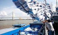 Hải quan mở hệ thống đăng ký tờ khai xuất khẩu số lượng gạo tồn tại cảng