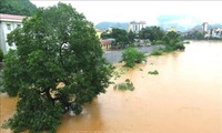 Thủ tướng yêu cầu khẩn trương khắc phục hậu quả mưa lũ tại Hà Giang