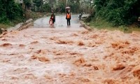 Các tỉnh, thành phố ven biển từ Nghệ An đến Bình Thuận chủ động ứng phó với diễn biến áp thấp nhiệt đới 
