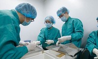 Việt Nam bắt đầu thử nghiệm vaccine COVID -19 trên khỉ
