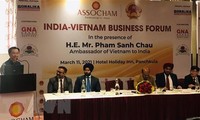 Việt Nam - Ấn Độ đẩy mạnh hợp tác đầu tư song phương