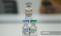 Giai đoạn 1-2 vaccine Nano Covax an toàn, sinh miễn dịch tốt