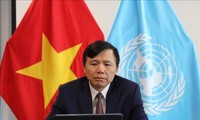 Việt Nam đã sáng tạo và thích ứng để hoàn thành tốt vai trò Ủy viên không thường trực của Hội đồng bảo an