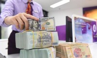 Dự trữ ngoại hối của Việt Nam cao kỷ lục